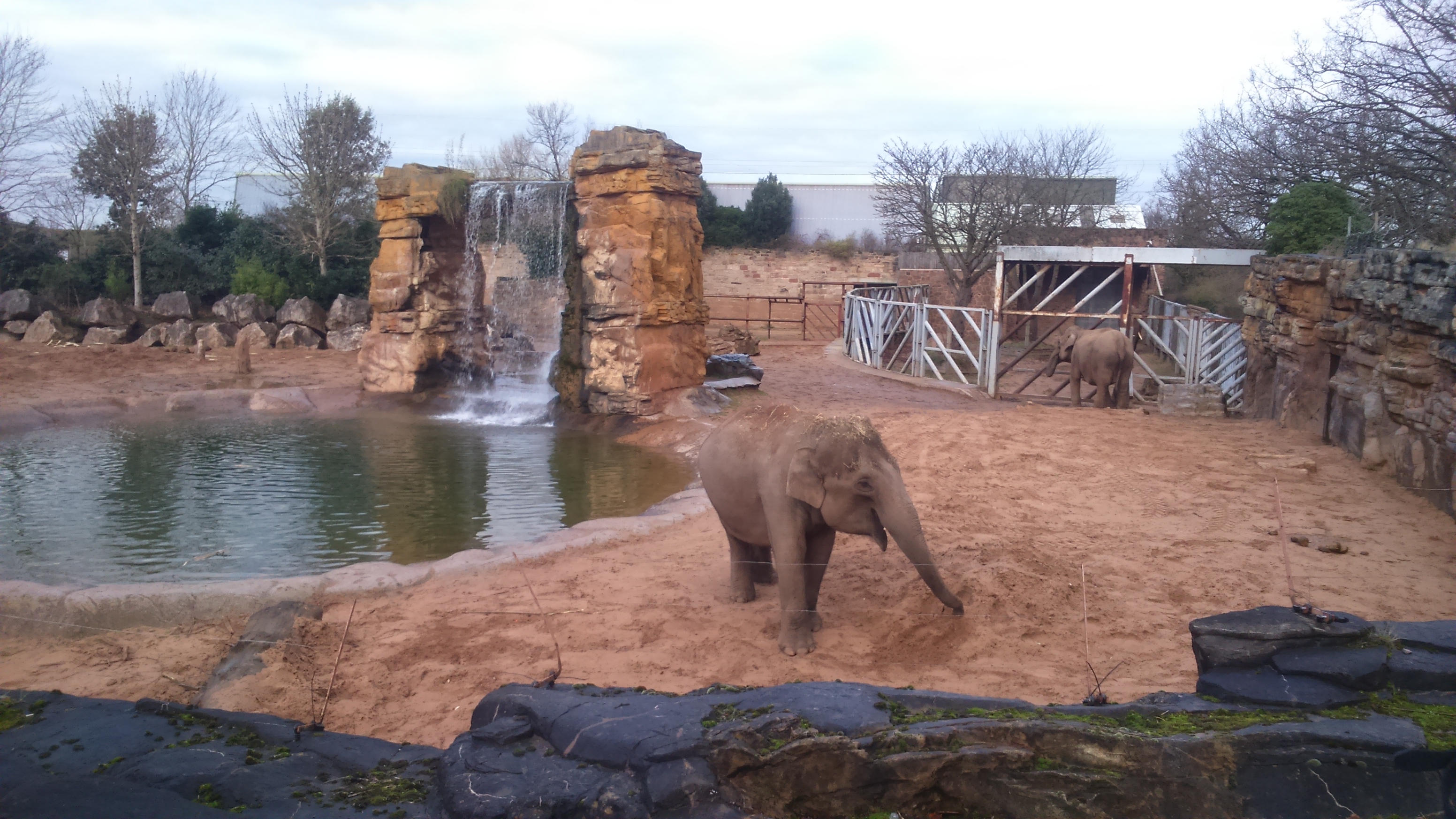 Chester Zoo